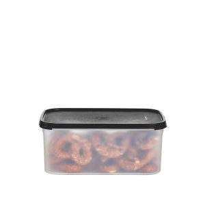 Tupperware? Modular Mates? Rectangular 2 | Food Storage Container