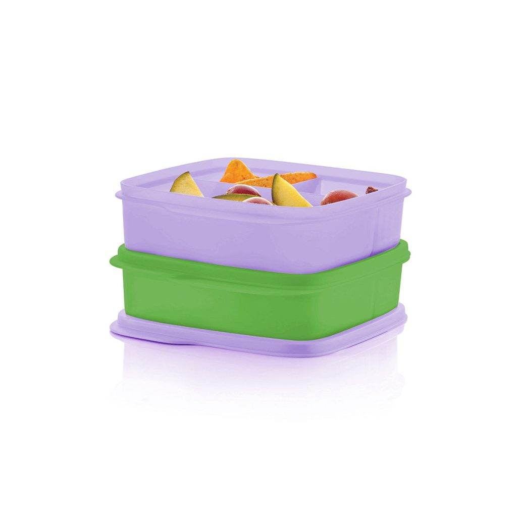 Tupperware? Lunch-It? Containers