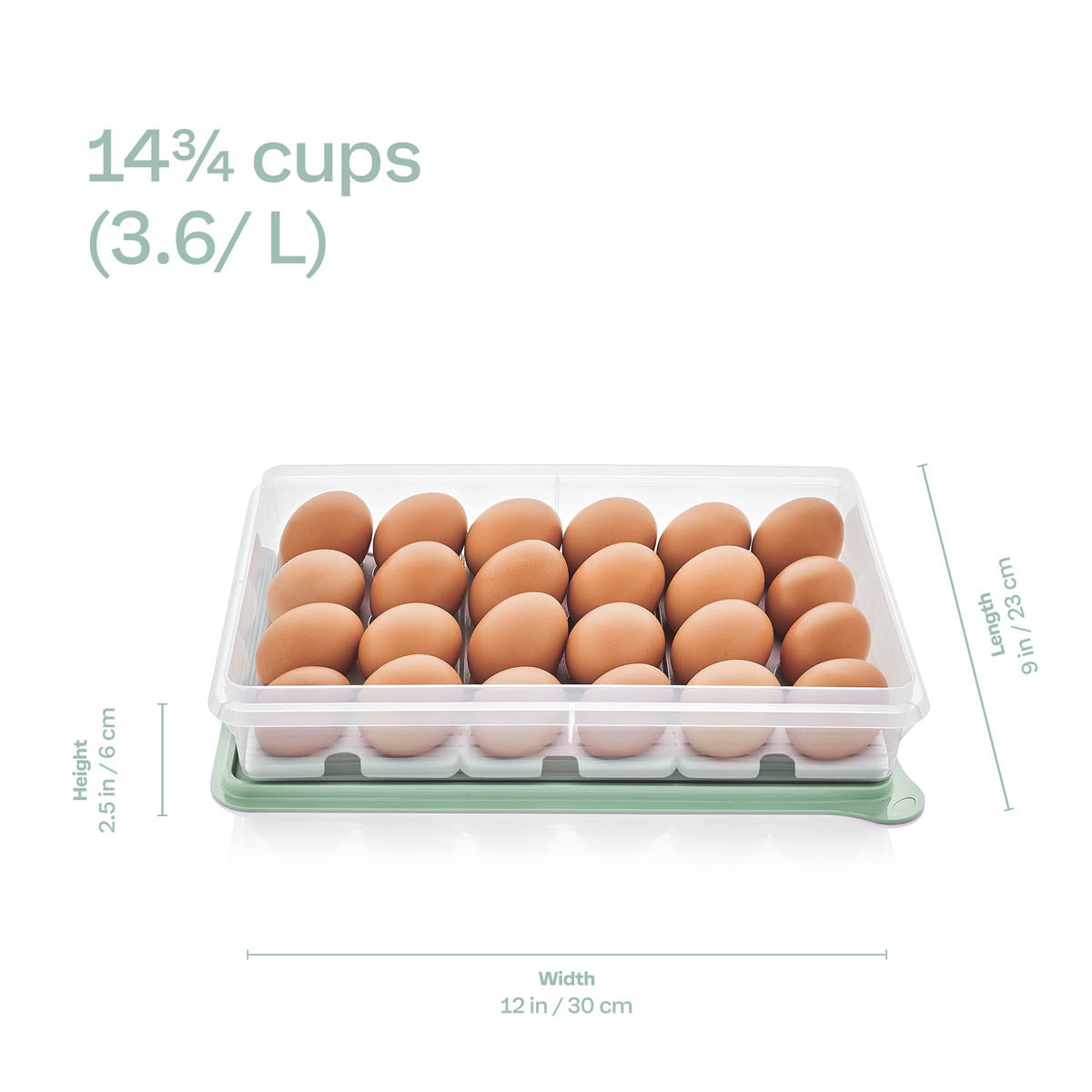 Tupperware? Snack-Stor? Large Storage Container with 3 Egg Tray Inserts - Image 2