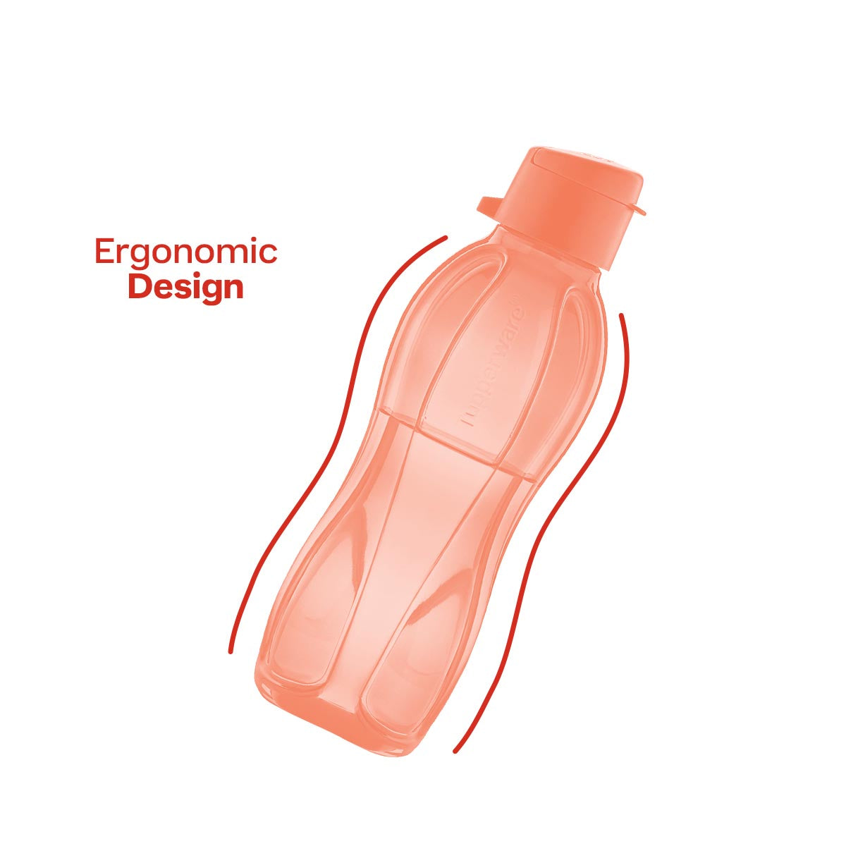 Eco+ Bottle | Small - Image 5