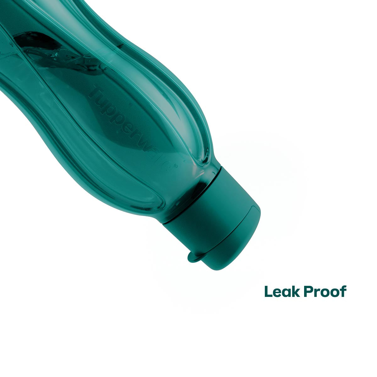 Eco+ Bottle | Medium - Image 3