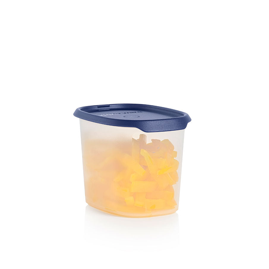 One Touch Fresh? Oval | 4? cup / 1.1 L