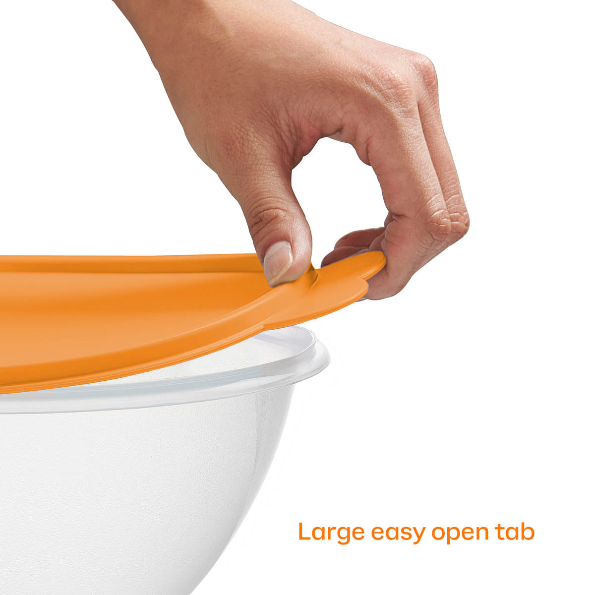 Classic Wonderlier? Bowls | 5-piece Set - Image 8