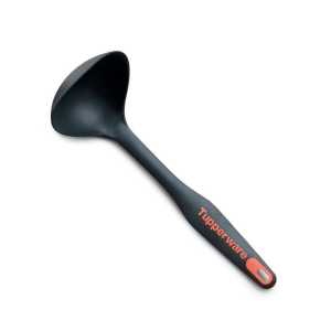 Ladle
